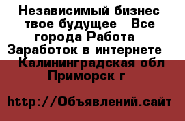 Независимый бизнес-твое будущее - Все города Работа » Заработок в интернете   . Калининградская обл.,Приморск г.